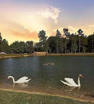 GreenGo location vacances écoresponsables