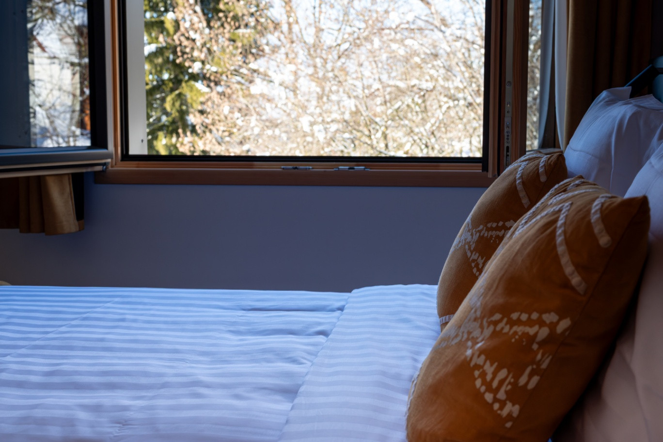 orderedImageAlt_accommodation_default