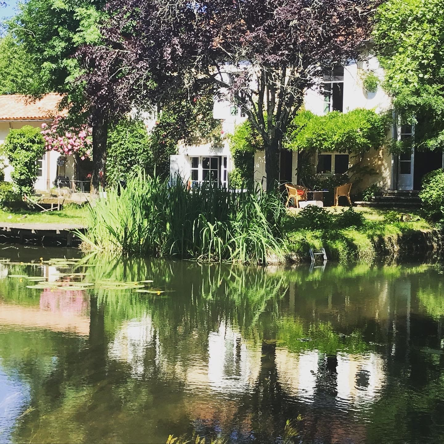 Hôte GreenGo: Le moulin de papalis : un endroit ou vous ressourcer