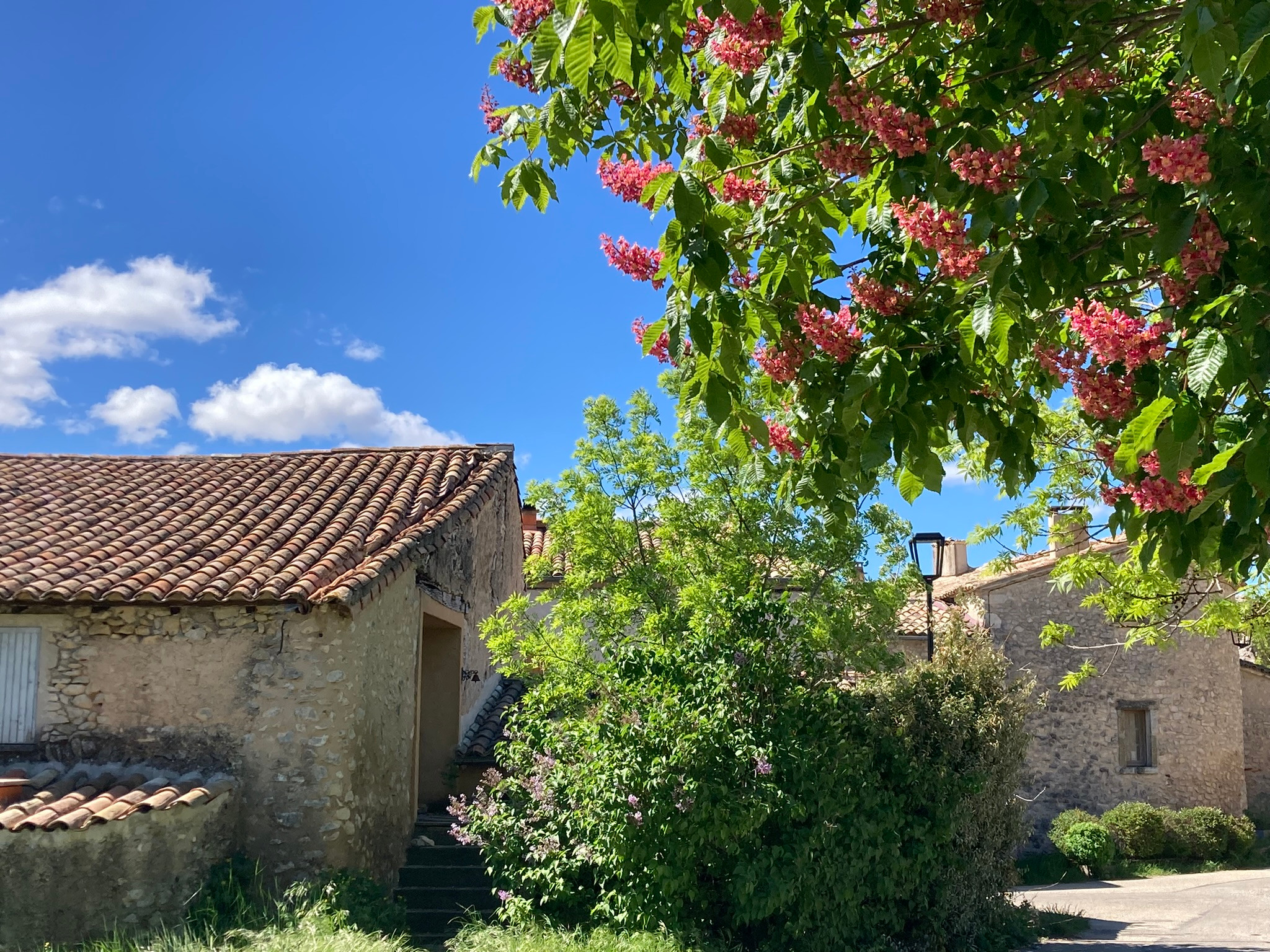 Vaucluse À la campagne