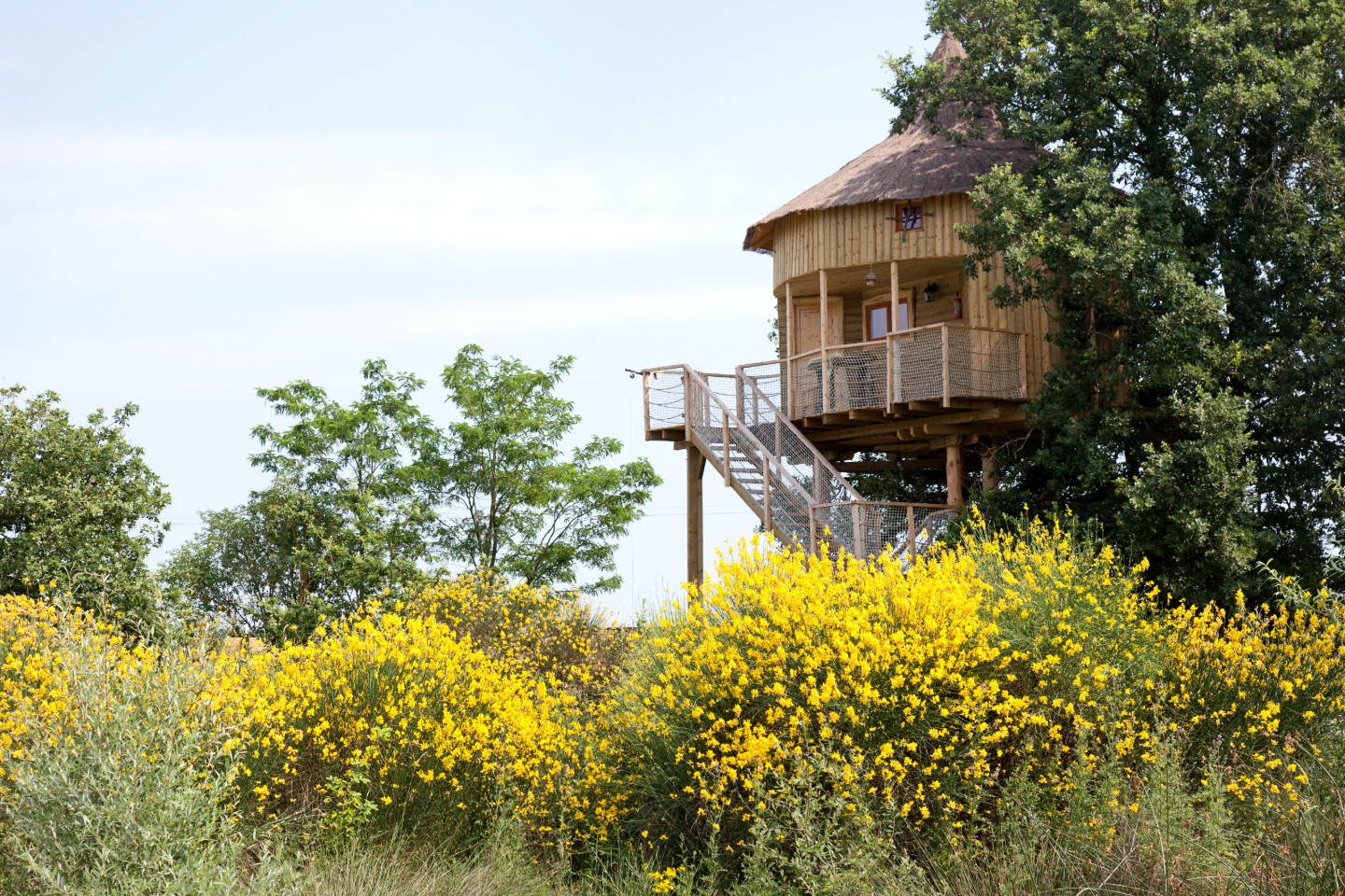 orderedImageAlt_accommodation_default