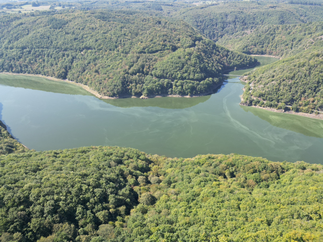 GreenGo location vacances écoresponsables