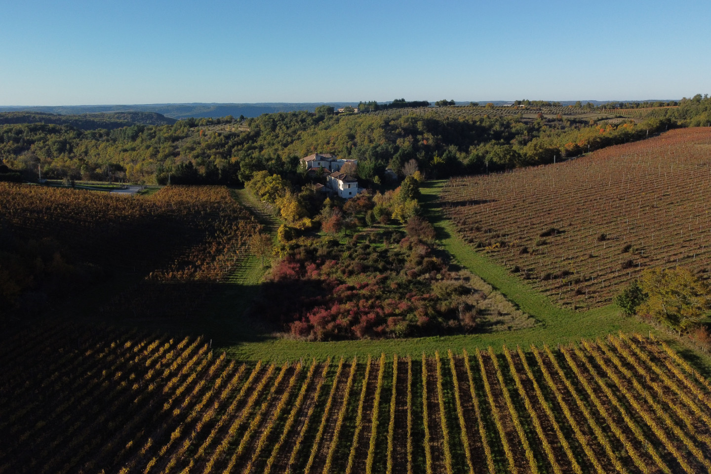 GreenGo Gîte de charme entre forêt, vignes et ciel étoilé. Vélos électriques et canoë gonflable inclus.
