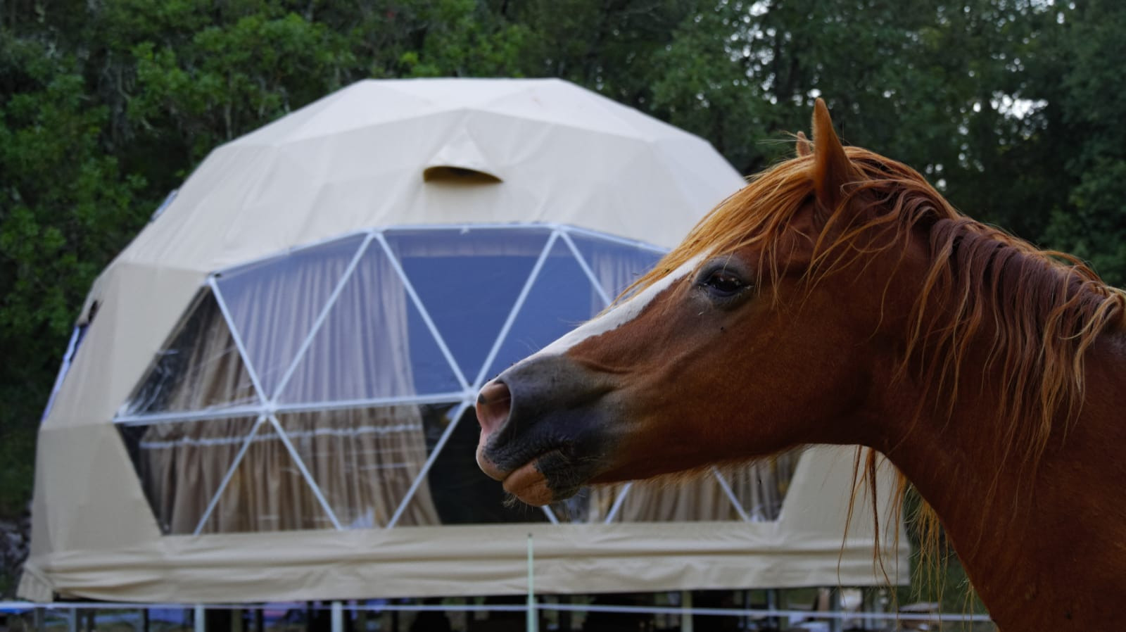 Var Glamping