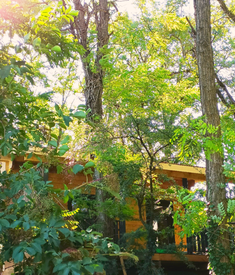orderedImageAlt_accommodation_default