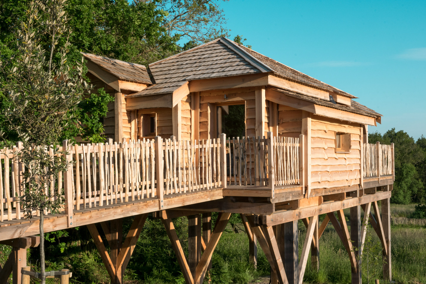 orderedImageAlt_accommodation_default