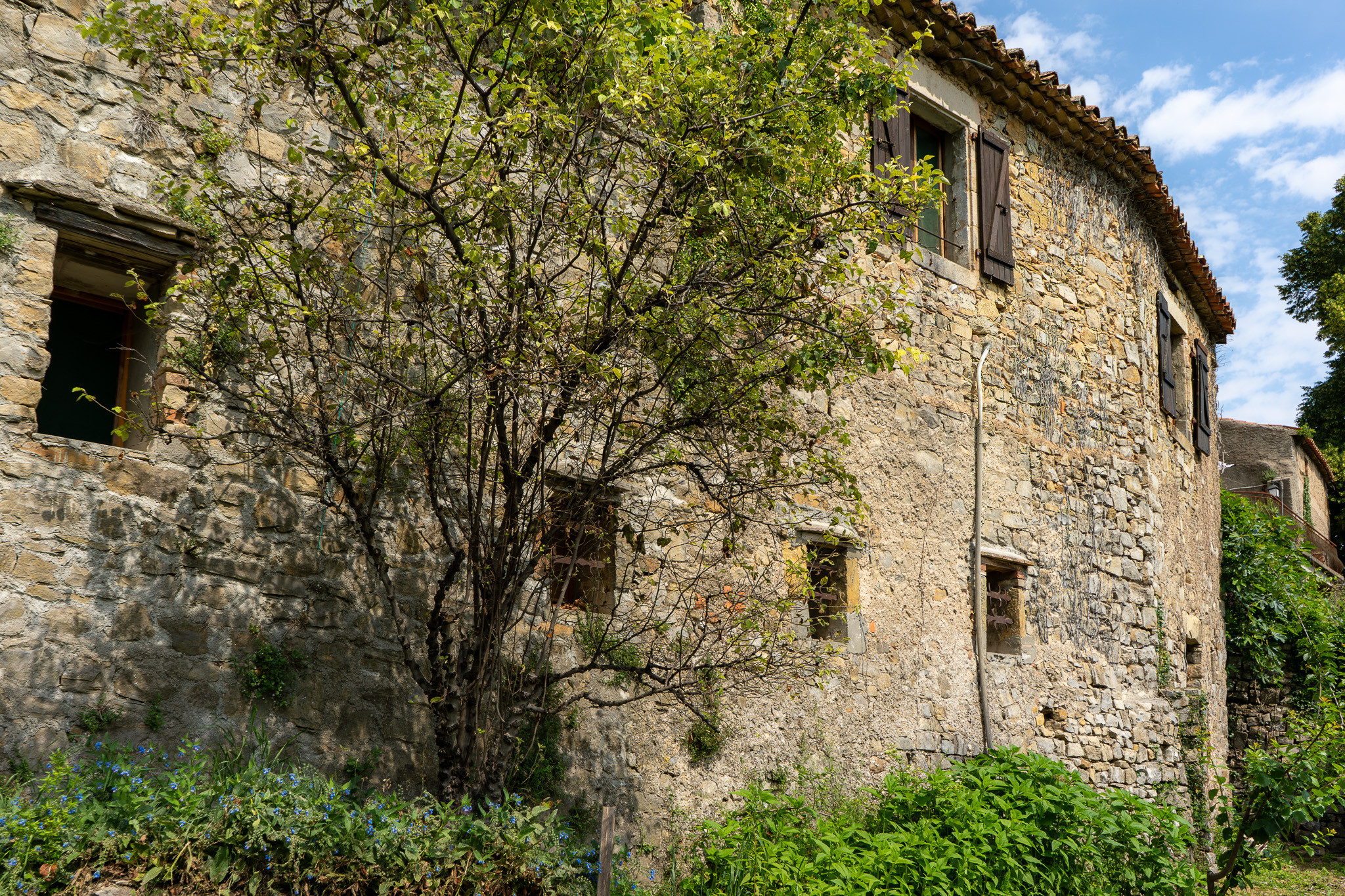 Gard En forêt