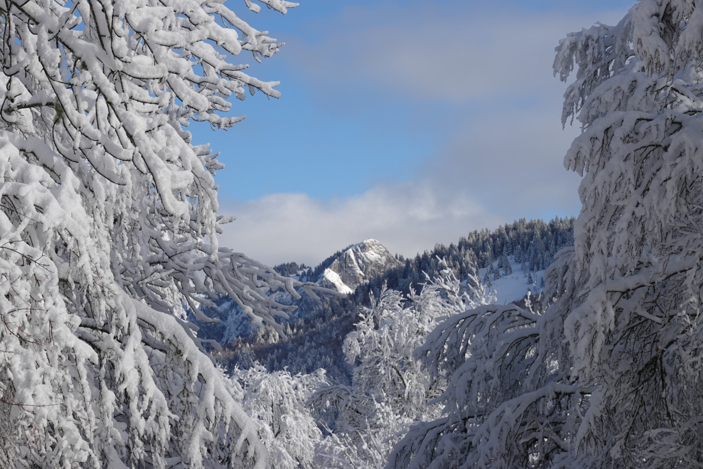 GreenGo Location Auvergne-Rhône-Alpes Évasion