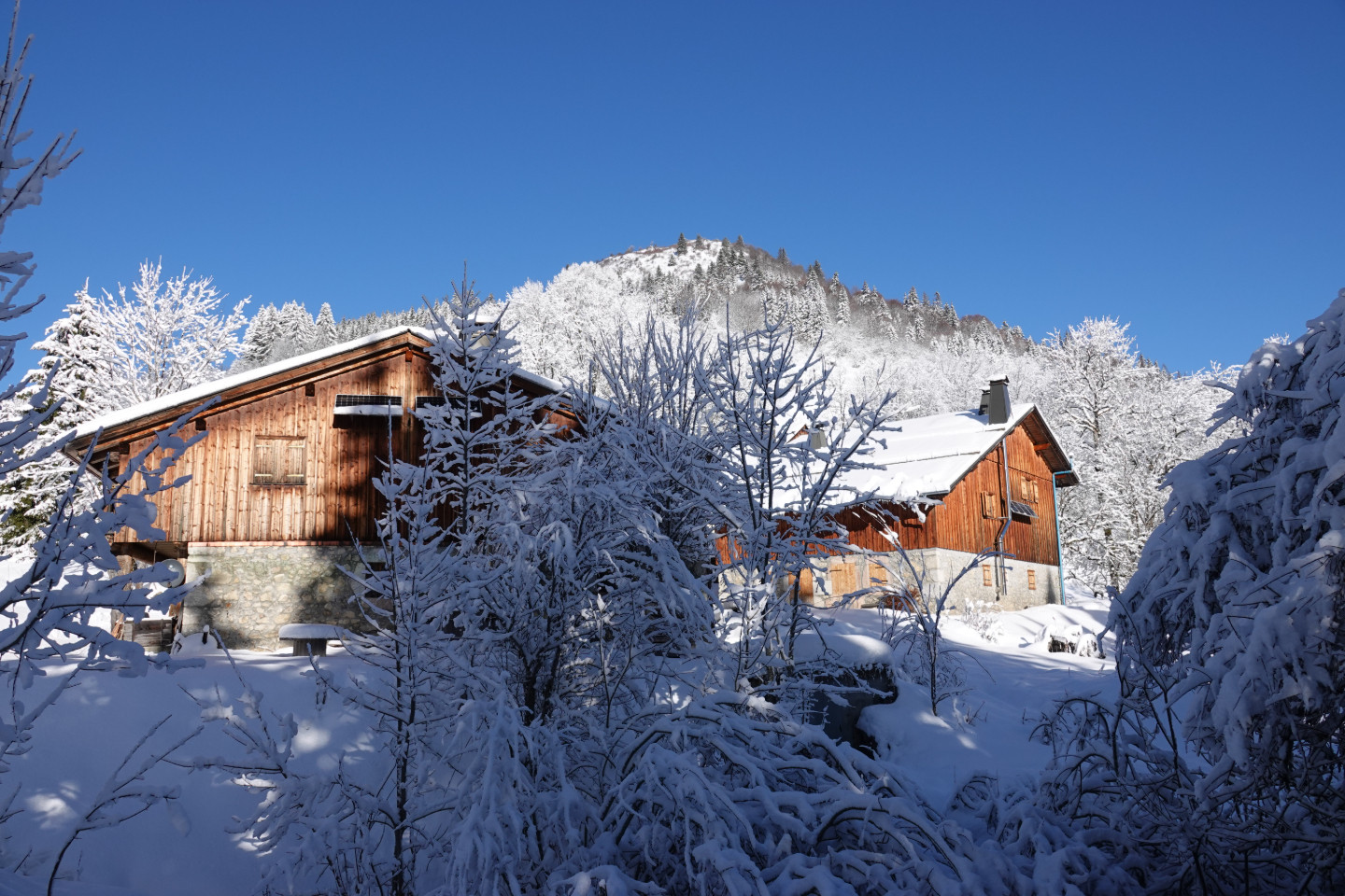 Hôte GreenGo: Le chalet de Mimi