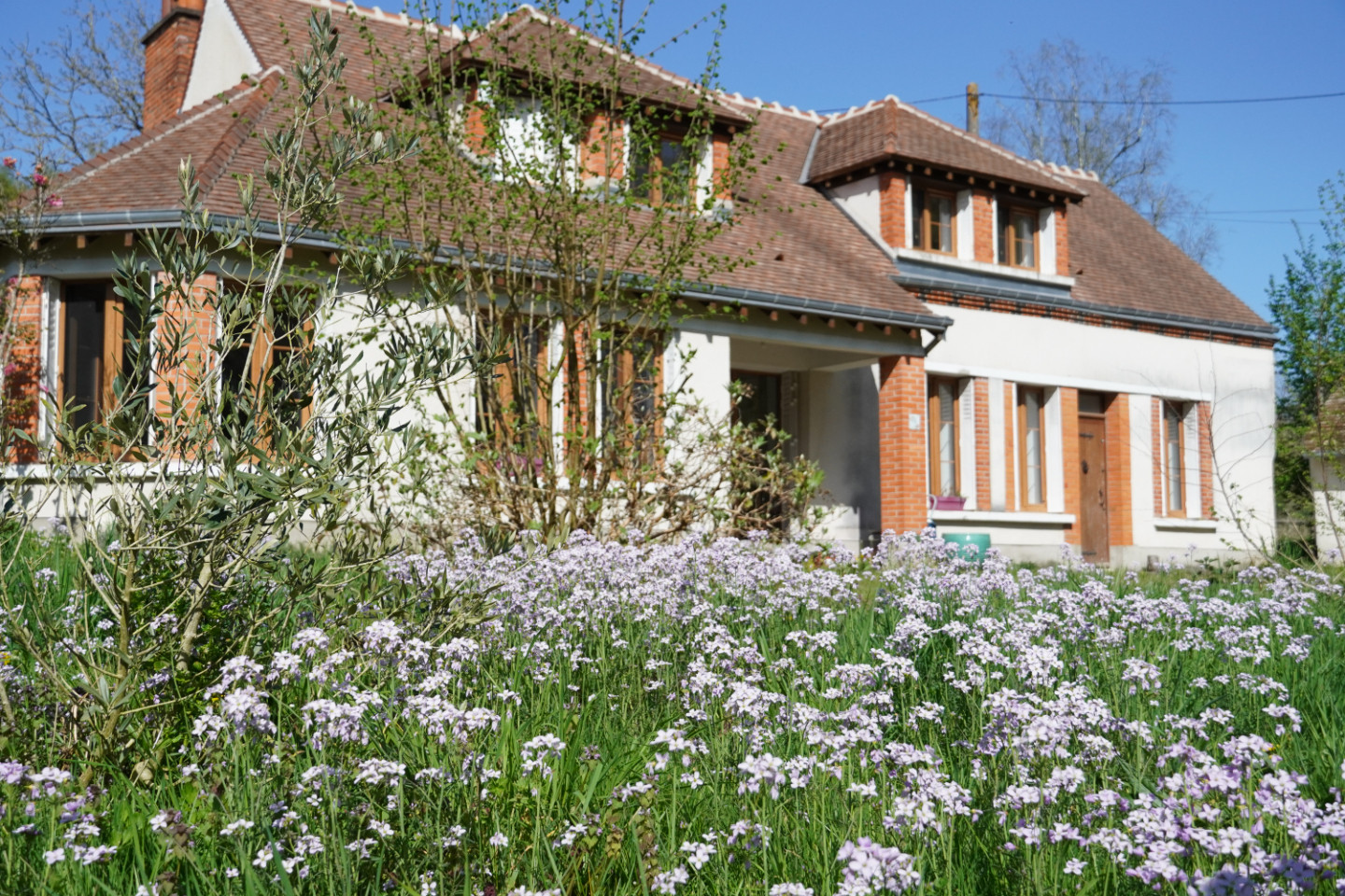 Le gîte d'Equus