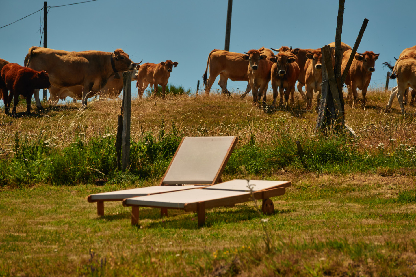 Haute-Loire À la campagne