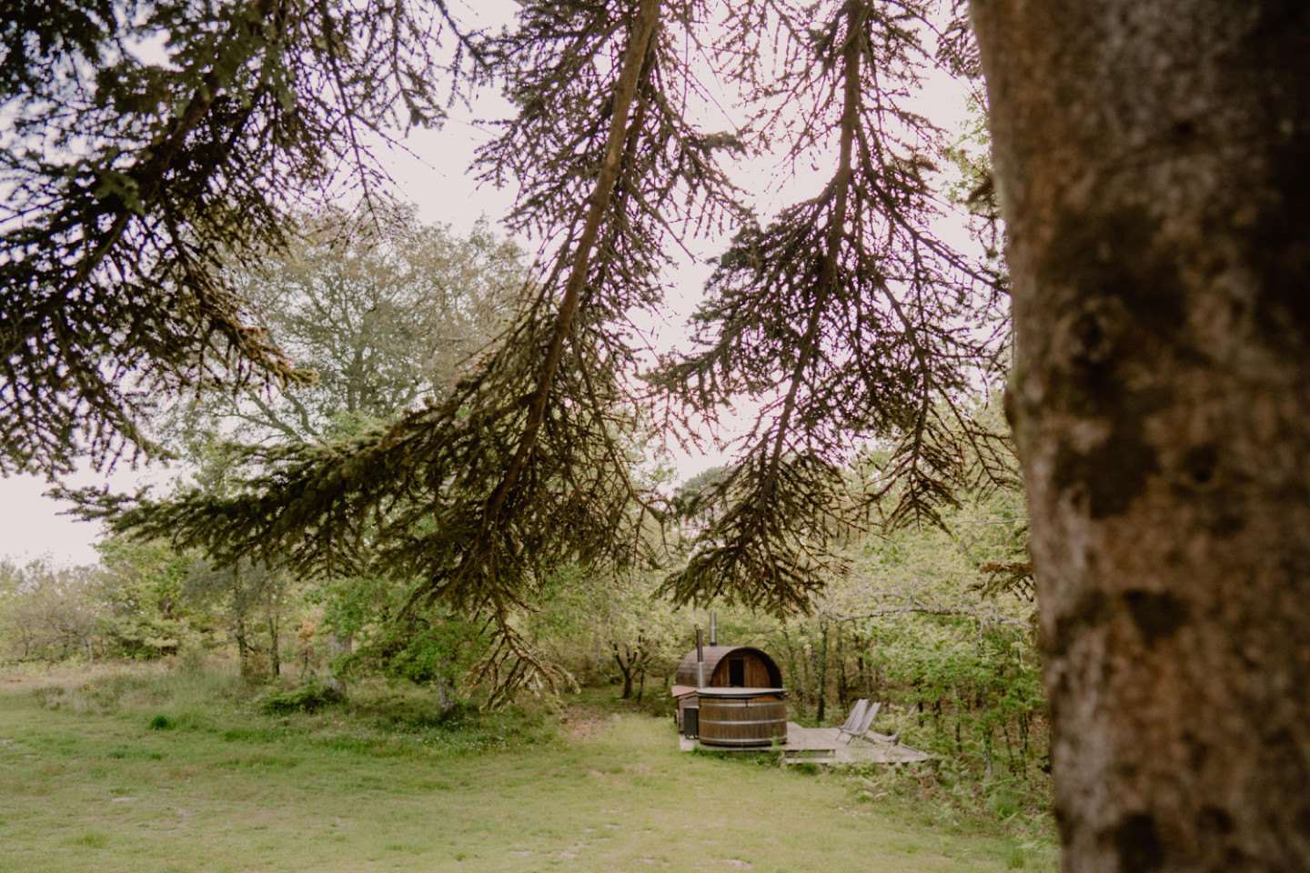 GreenGo location vacances écoresponsables