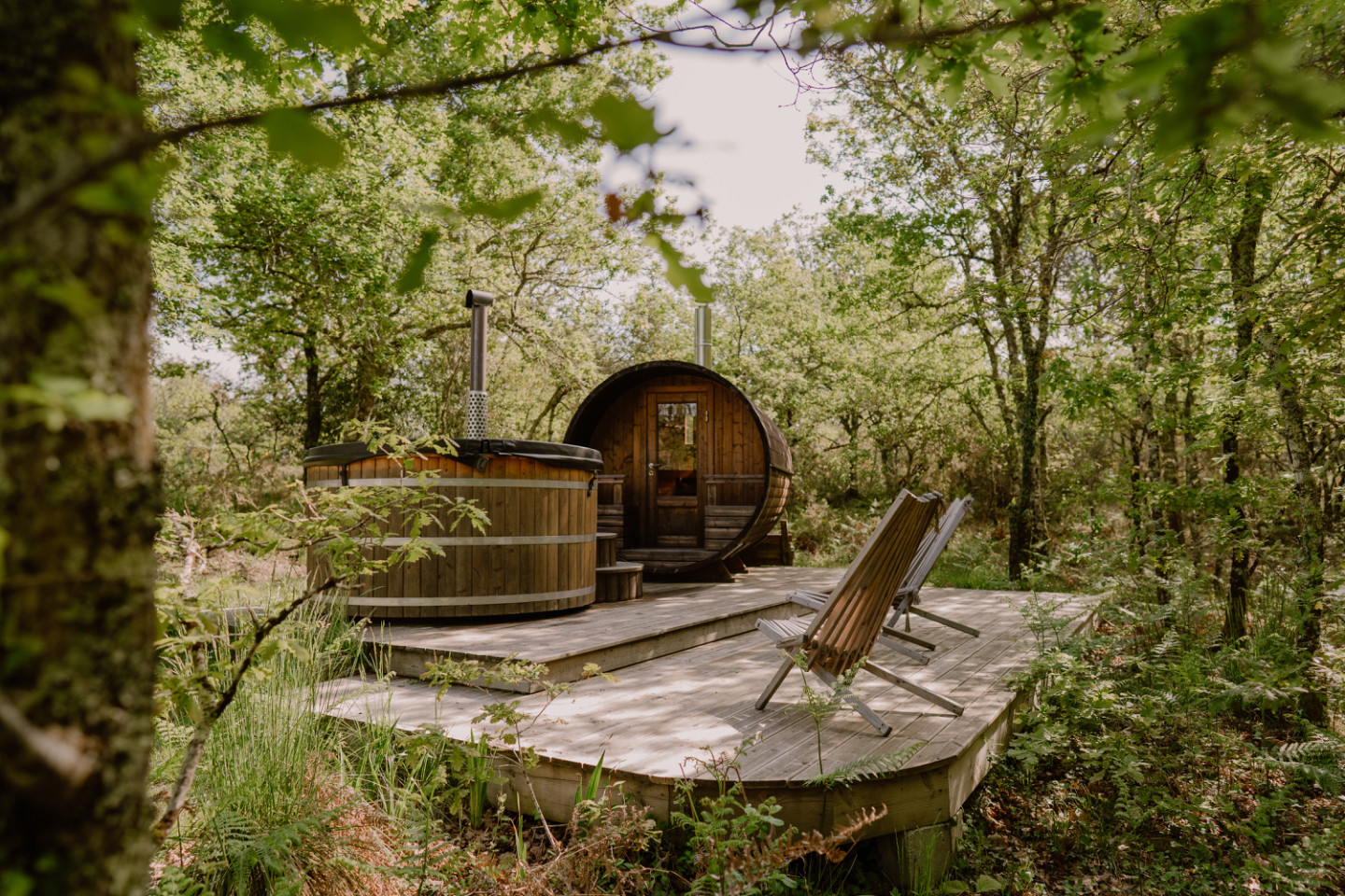Location Landes En forêt