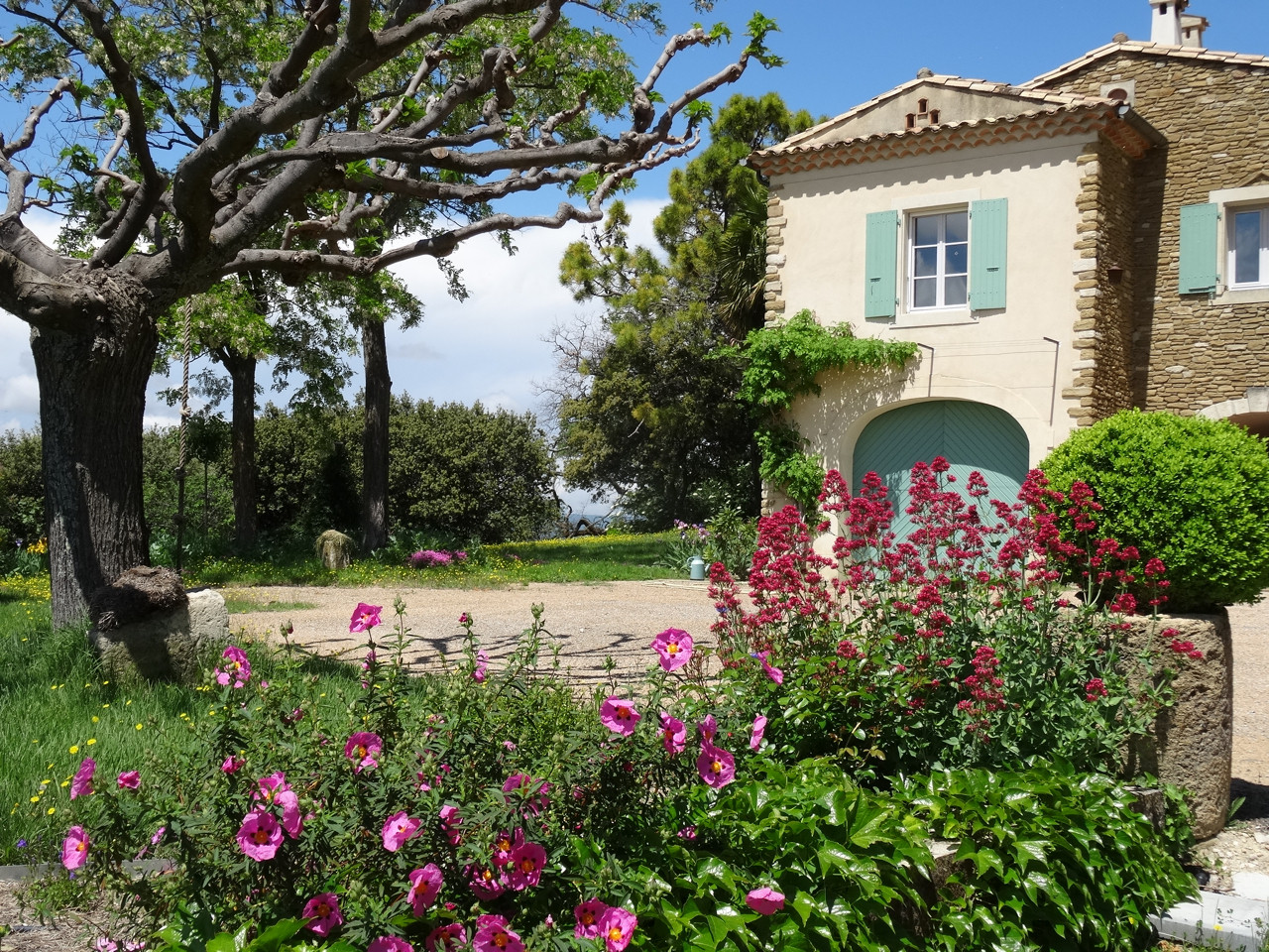 Location Vaucluse Entre amis