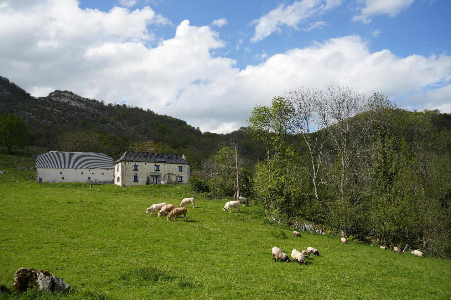 GreenGo Maison Sorhondoa