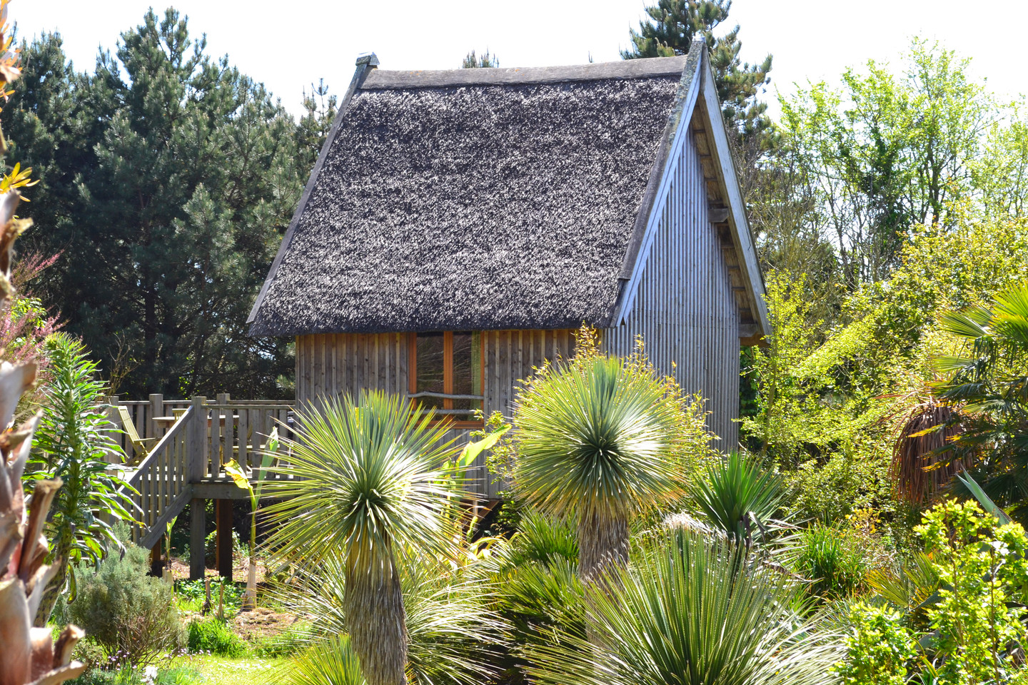 orderedImageAlt_accommodation_default