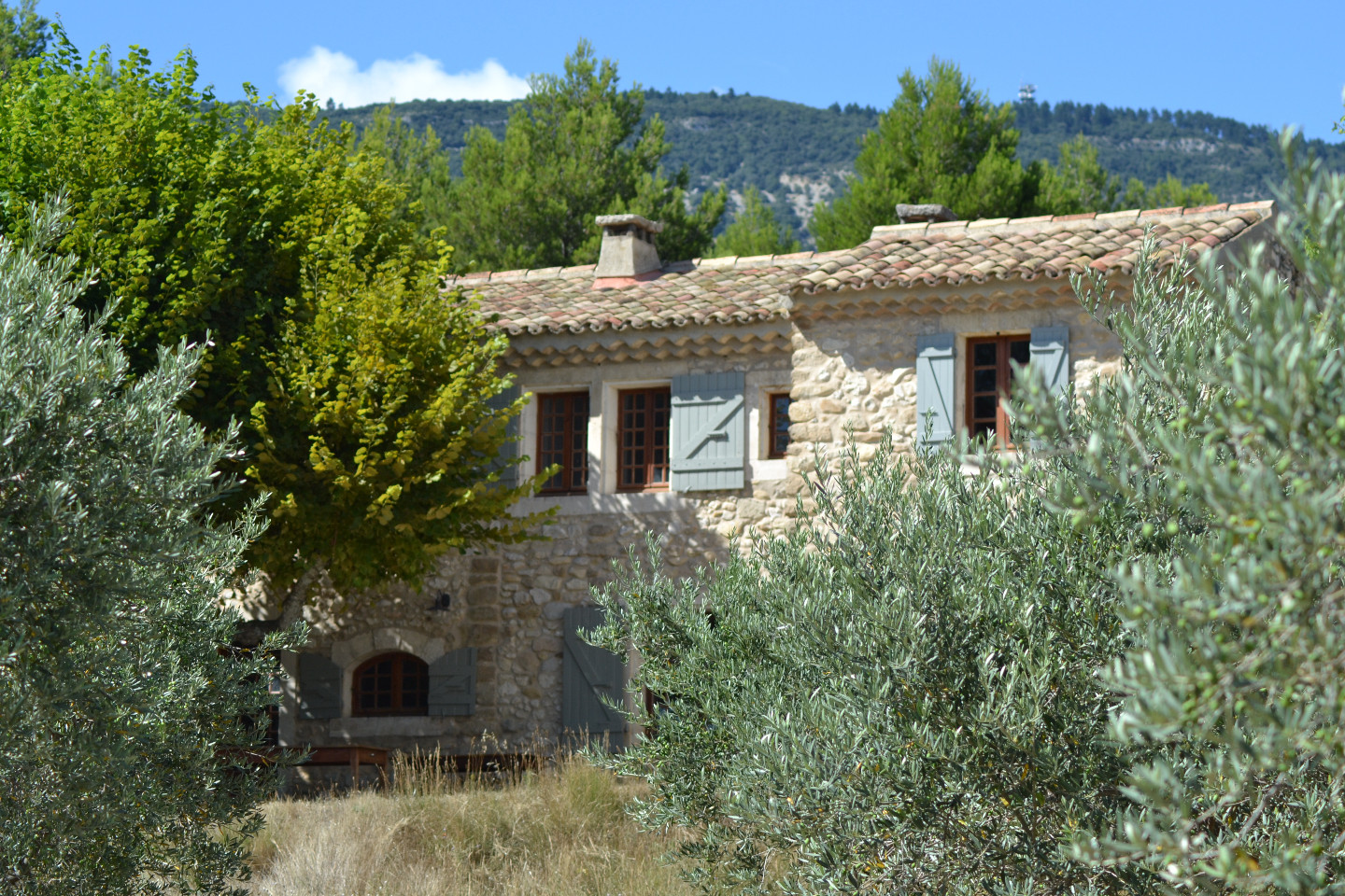 GreenGo Location Provence-Alpes-Côte d'Azur Évasion