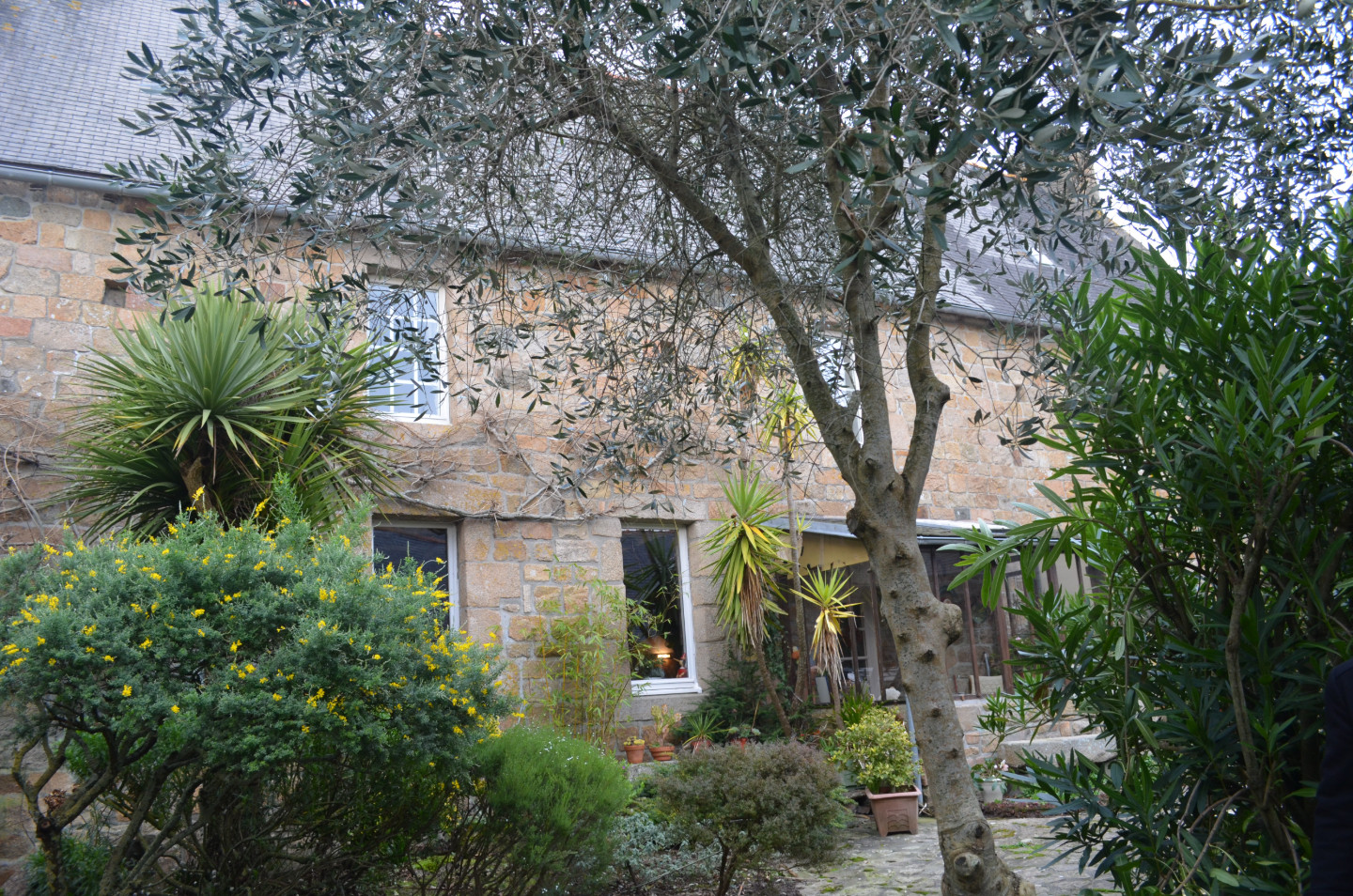 GreenGo Gîte Bretagne Gîte de groupe