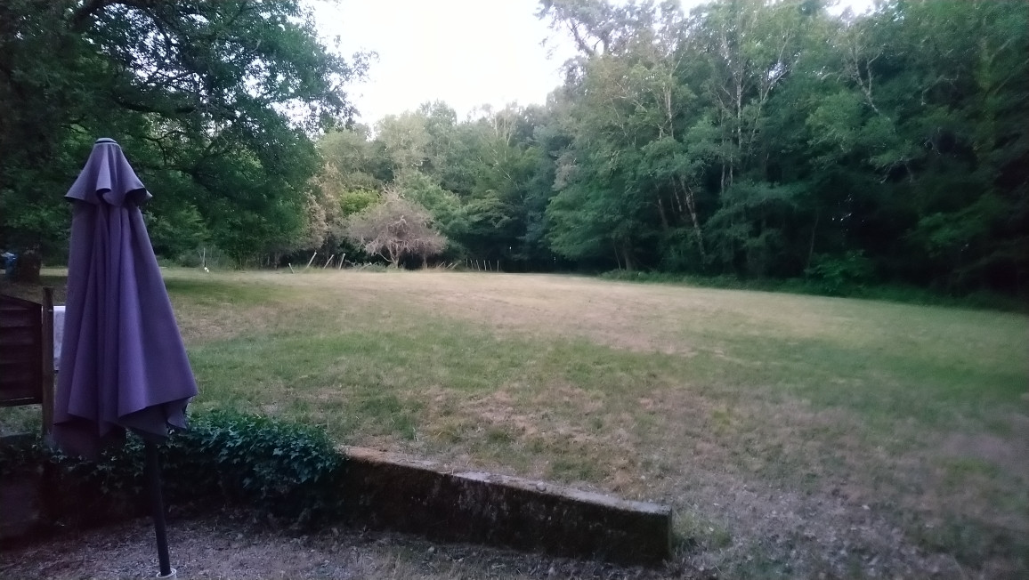 GreenGo Location Nouvelle-Aquitaine En forêt