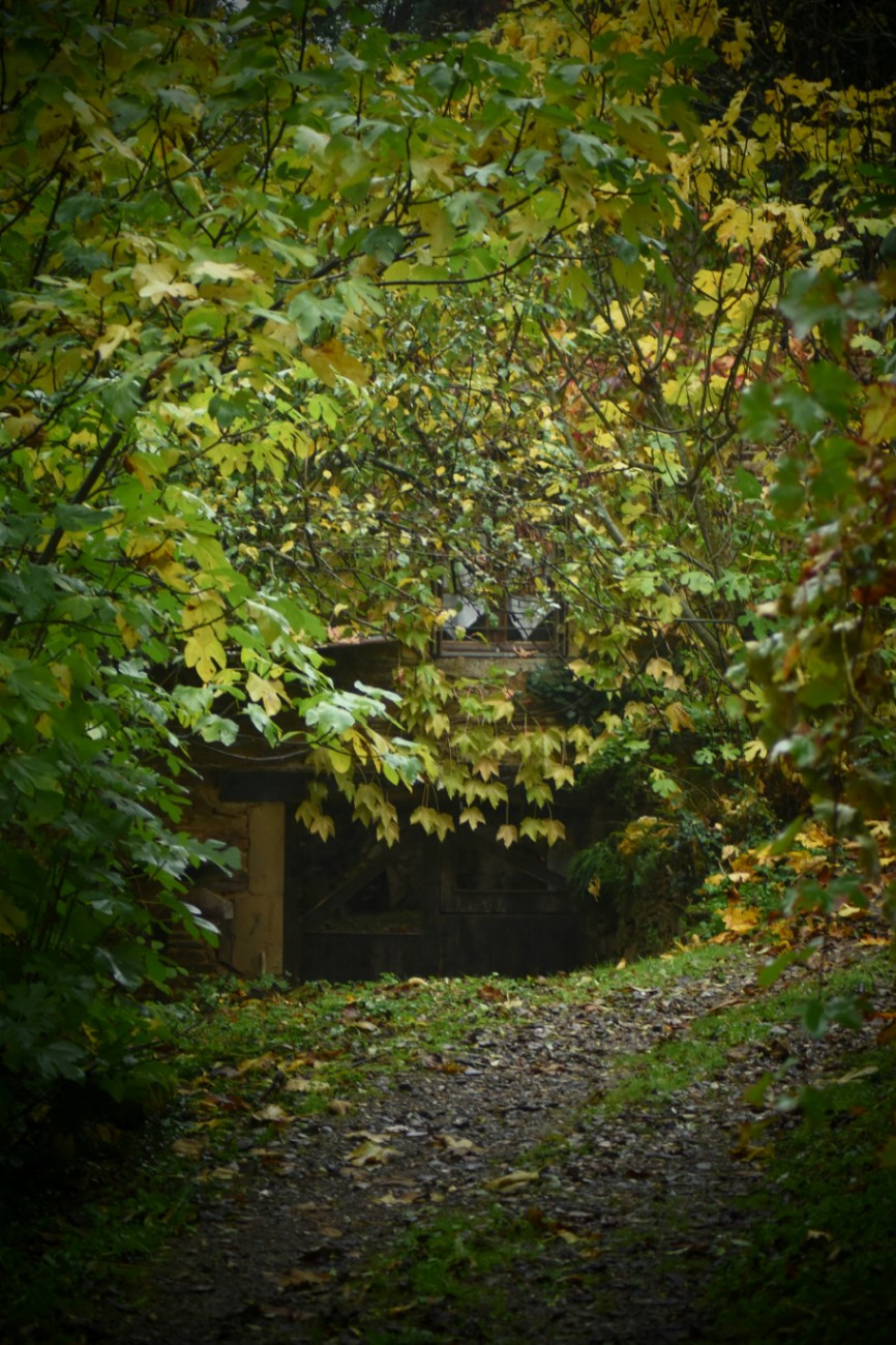 GreenGo Gîte Carpe Diem a salabert