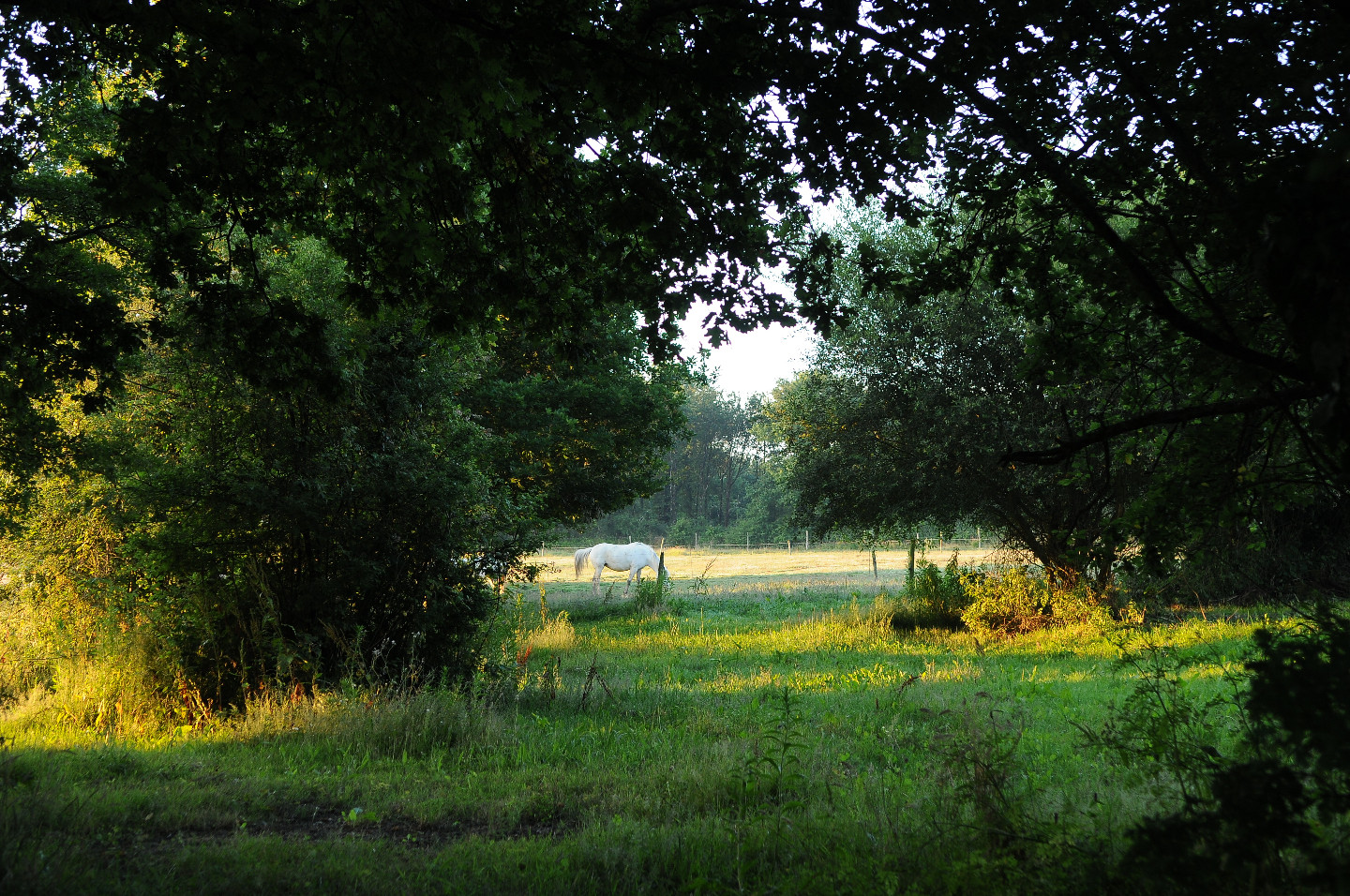 Location Morbihan Bien-être
