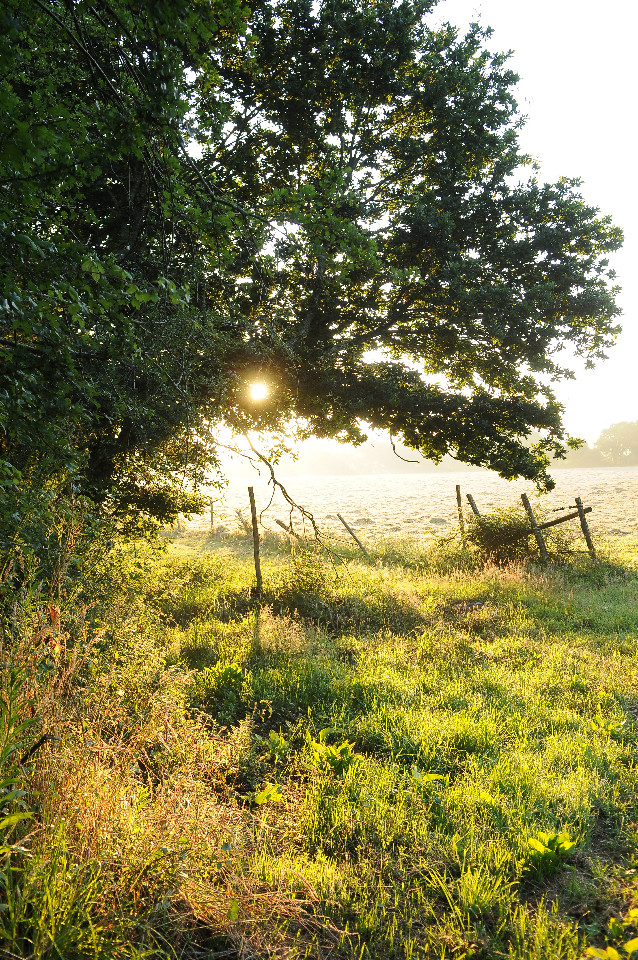 GreenGo location vacances écoresponsables