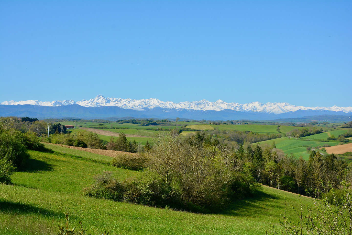 GreenGo Gîte Occitanie Évasion