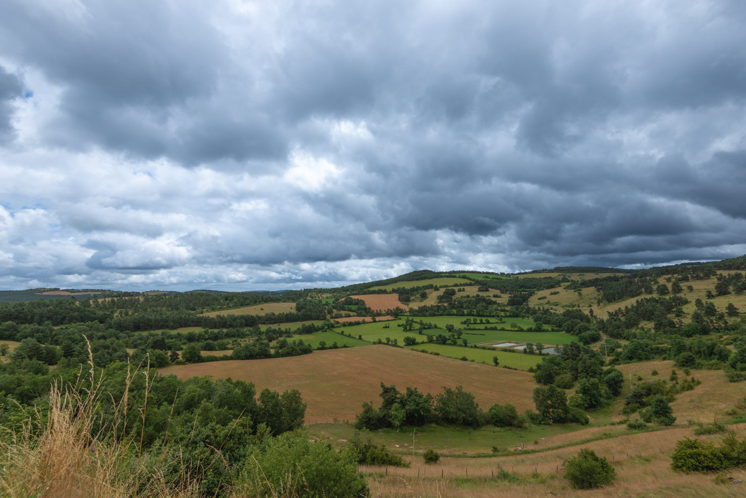 GreenGo location vacances écoresponsables