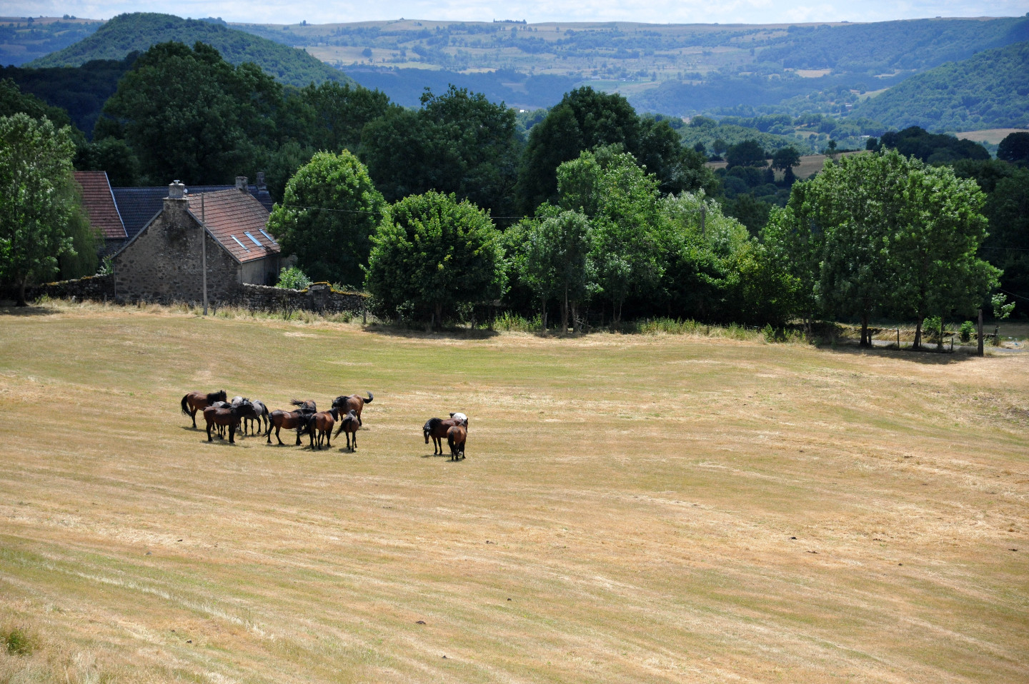 Cantal À la campagne