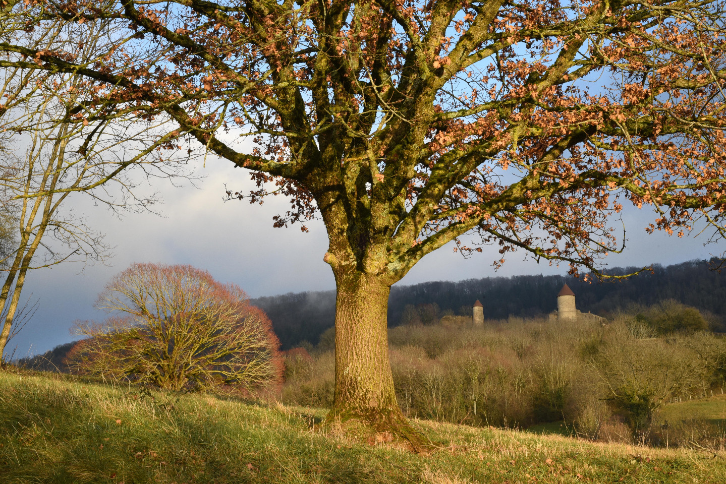 La Chalentine, gîte écorural dans le Jura !