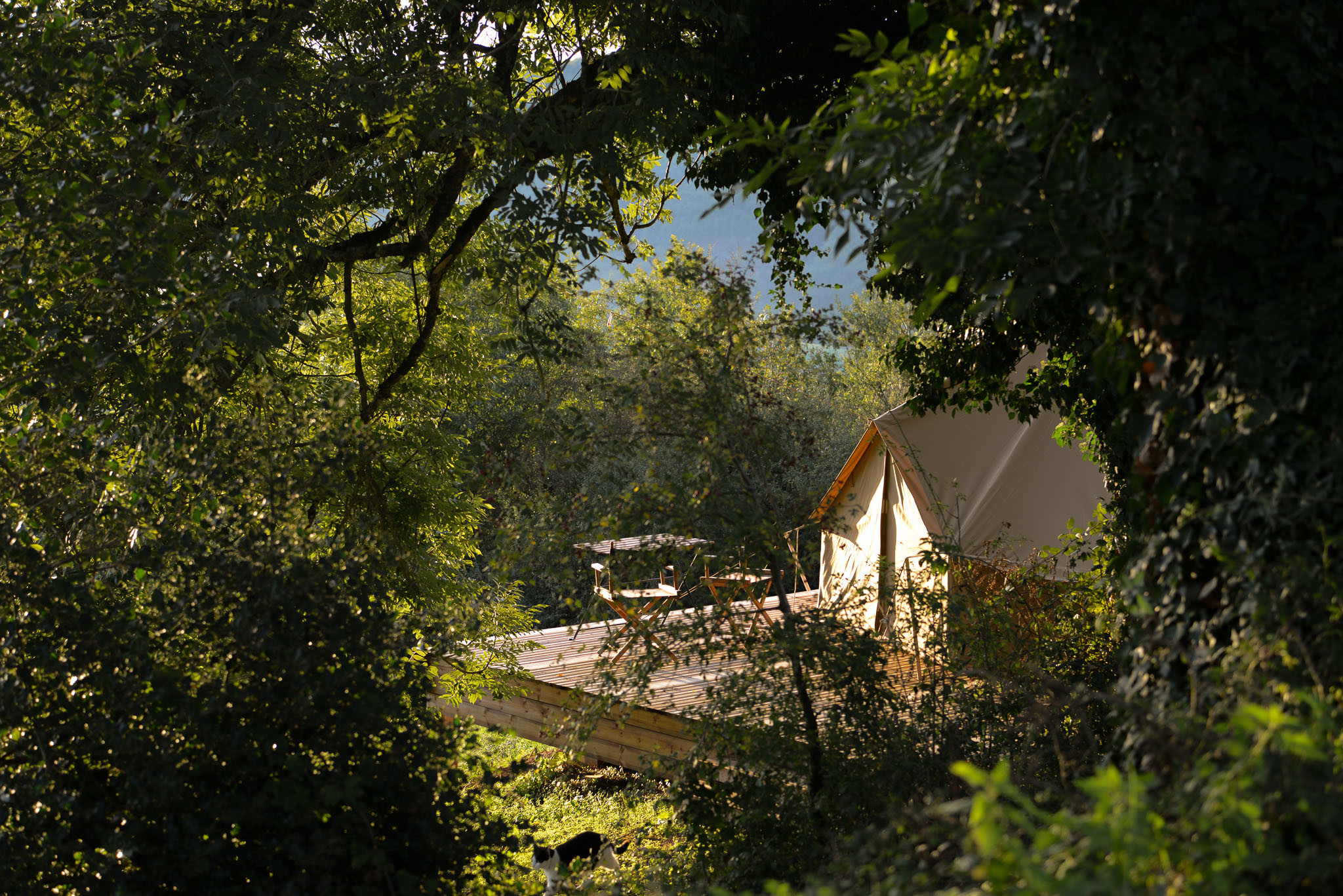 orderedImageAlt_accommodation_default