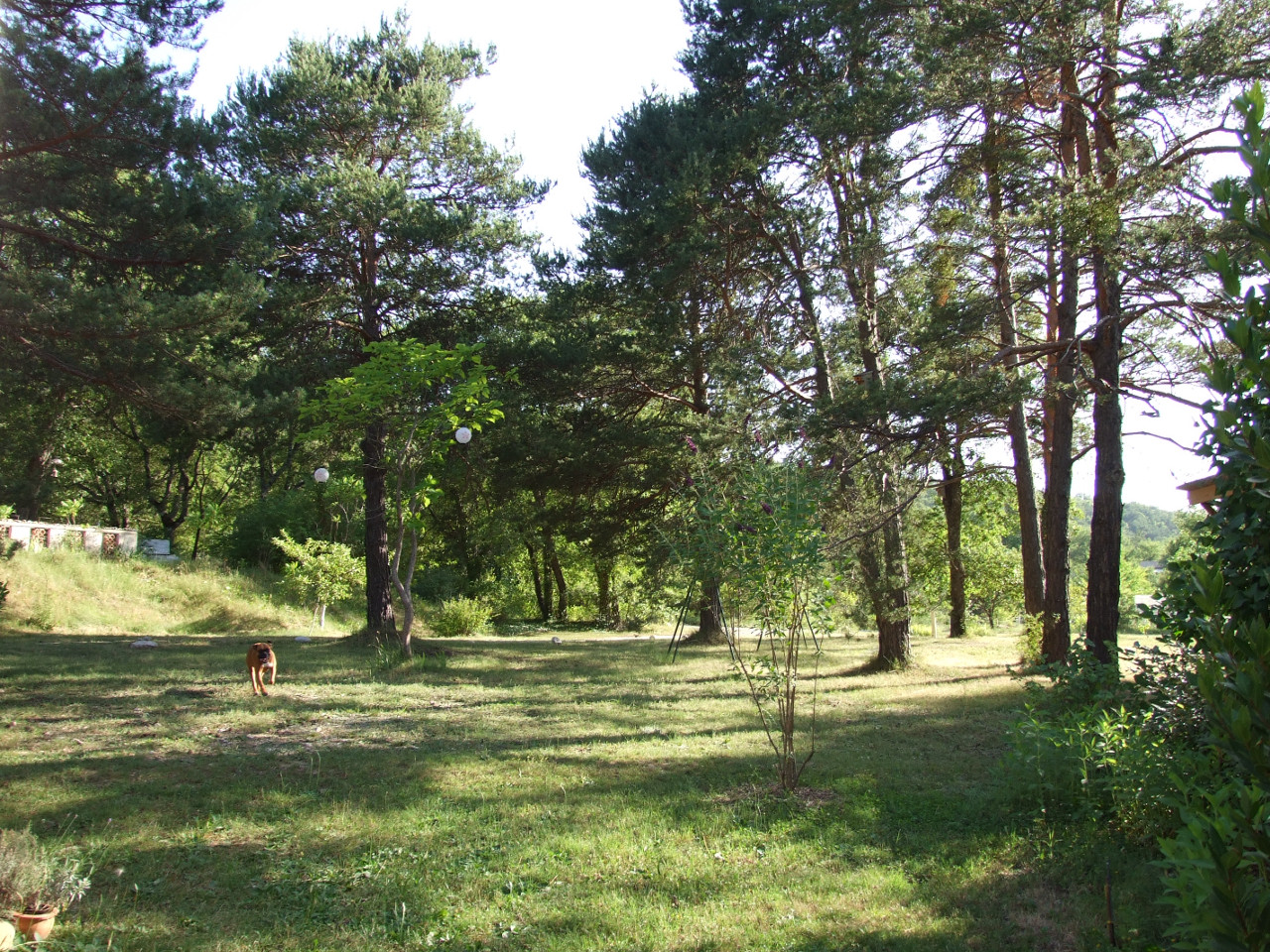Location Alpes-de-Haute-Provence Haut-de-gamme