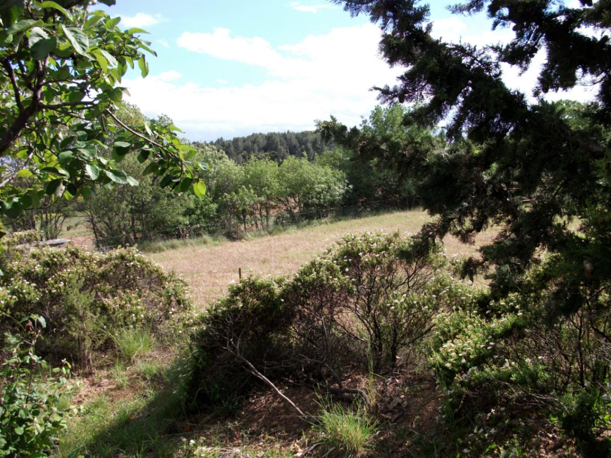 GreenGo location vacances écoresponsables