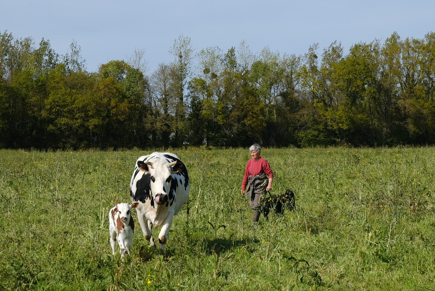 Hôte GreenGo: Ferme des Goublayes
