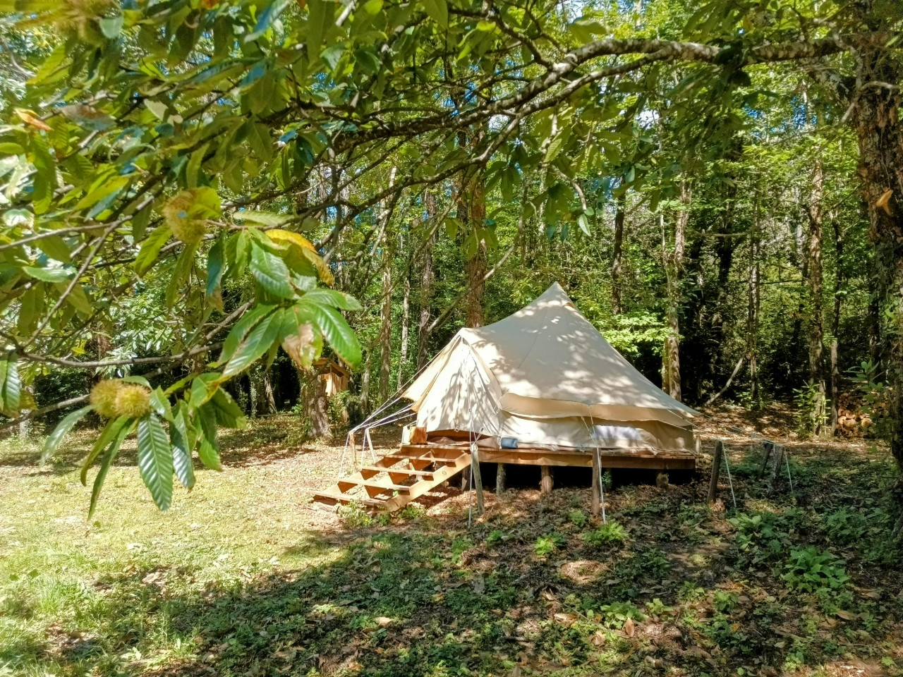 orderedImageAlt_accommodation_default