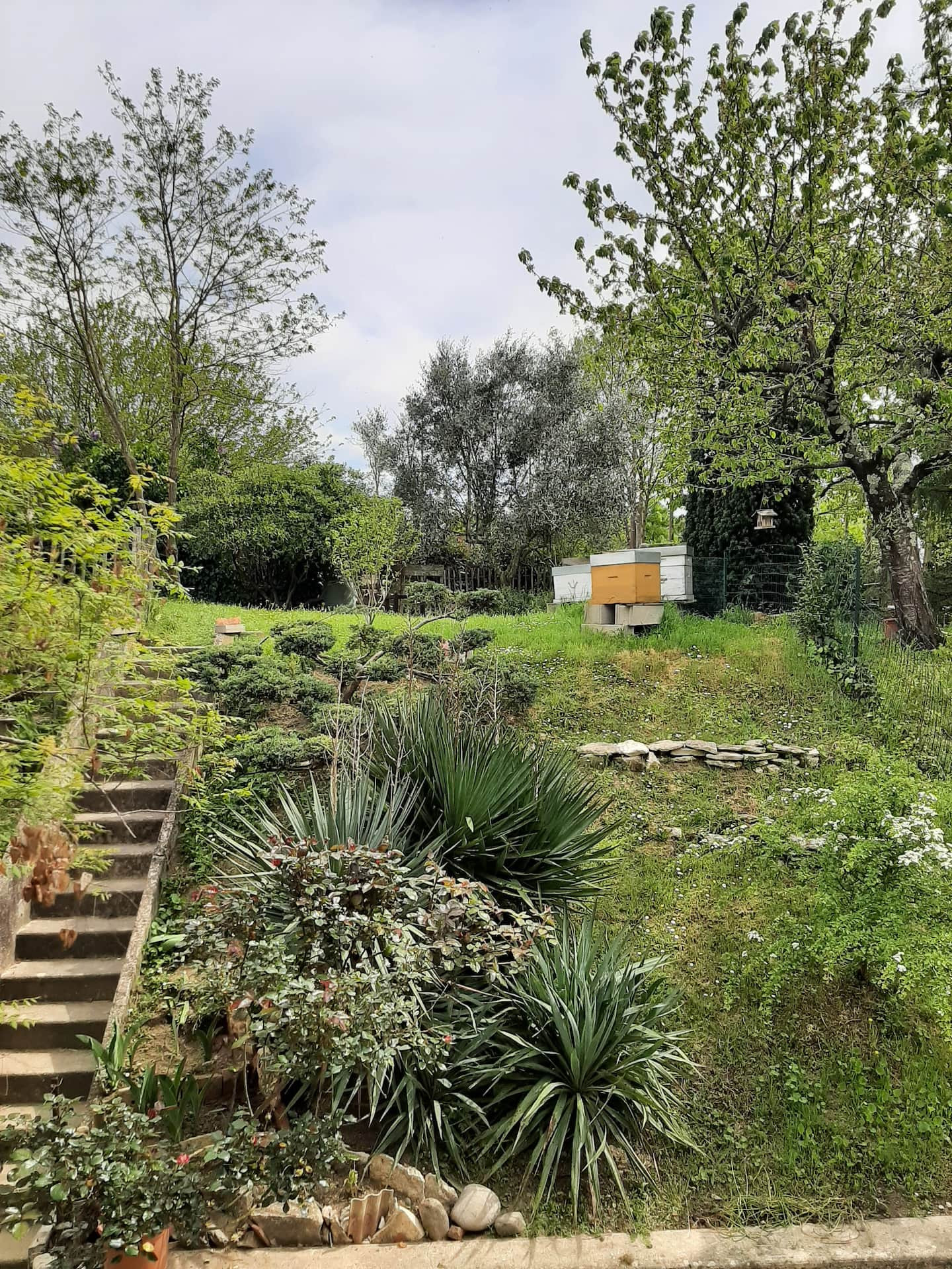 GreenGo Location Occitanie En ville