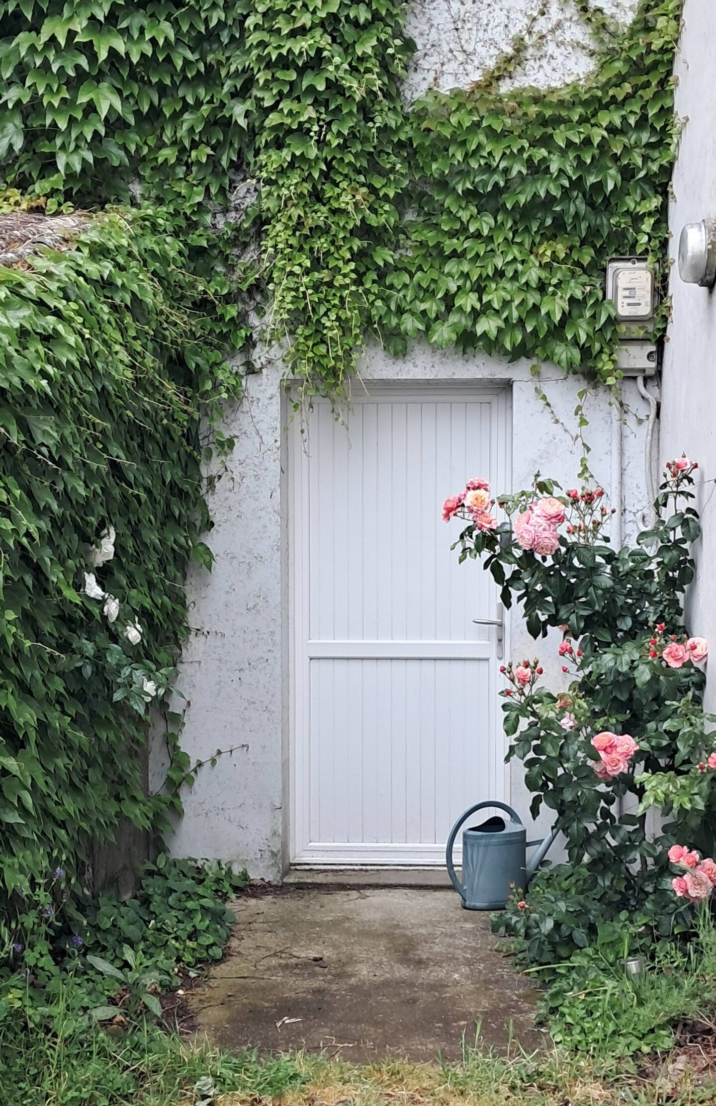Hôte GreenGo: Douceur de vivre