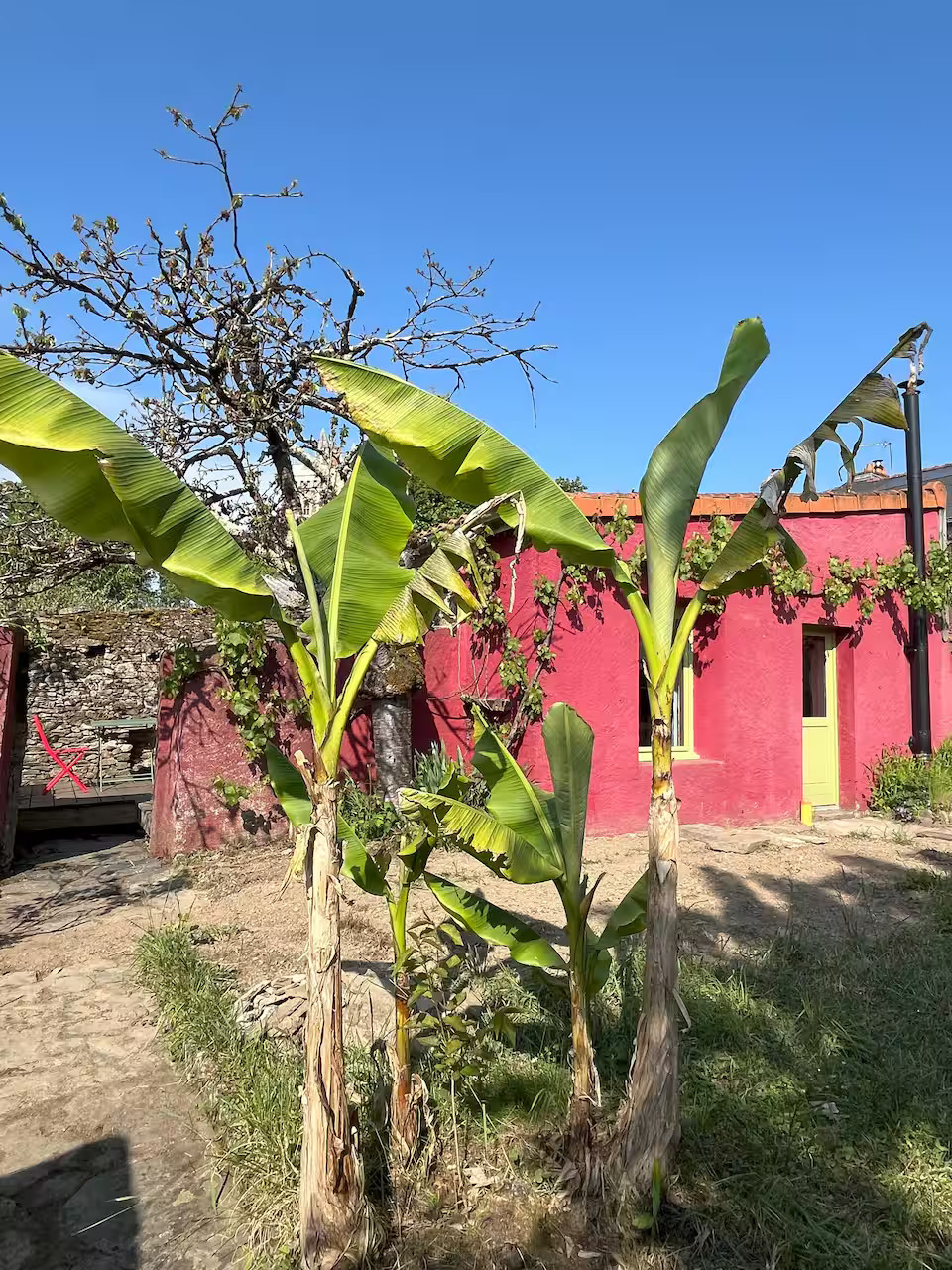 Hôte GreenGo: Red Cottage