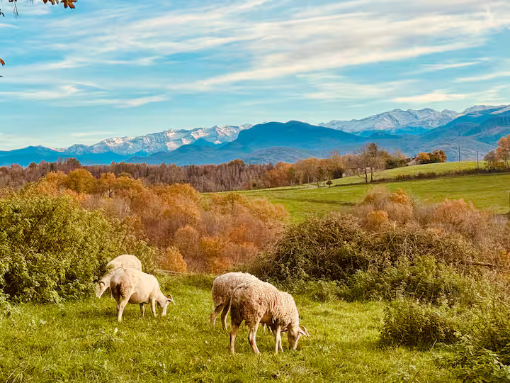 La Grange de la Bastide