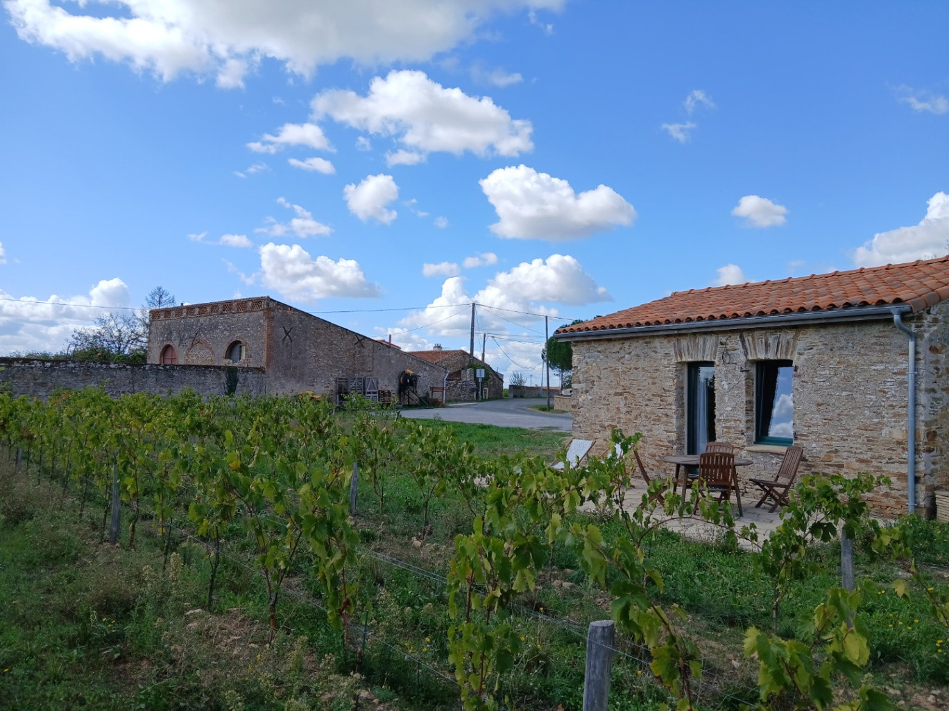 Maisonnette pieds dans les vignes
