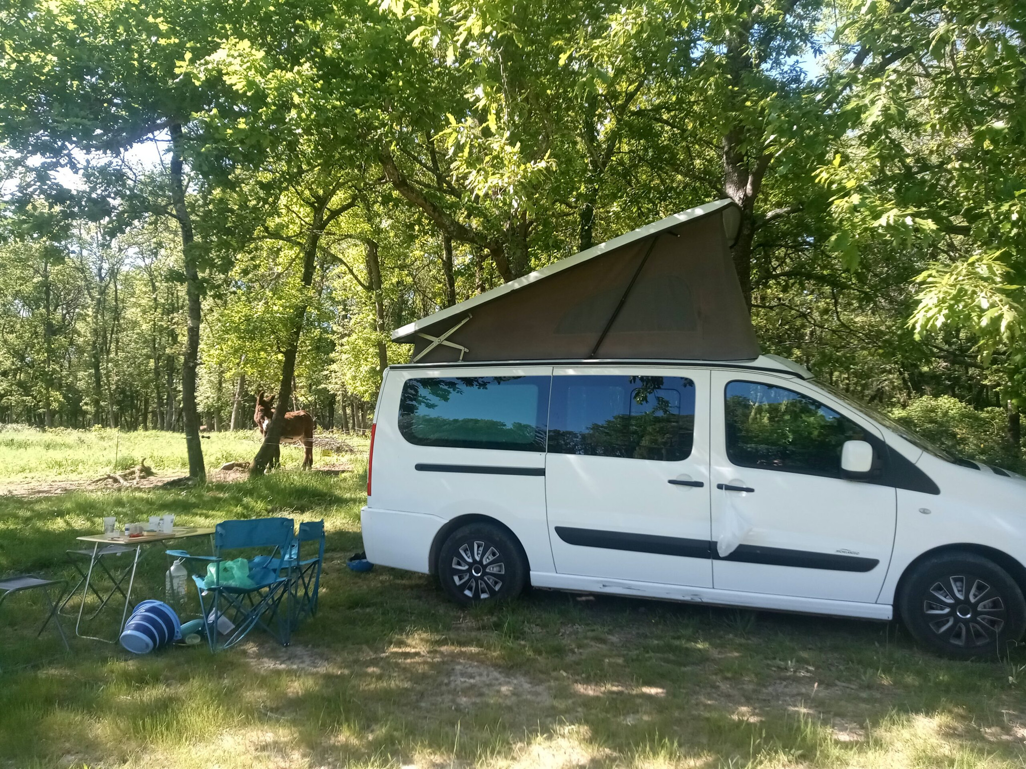 orderedImageAlt_accommodation_default