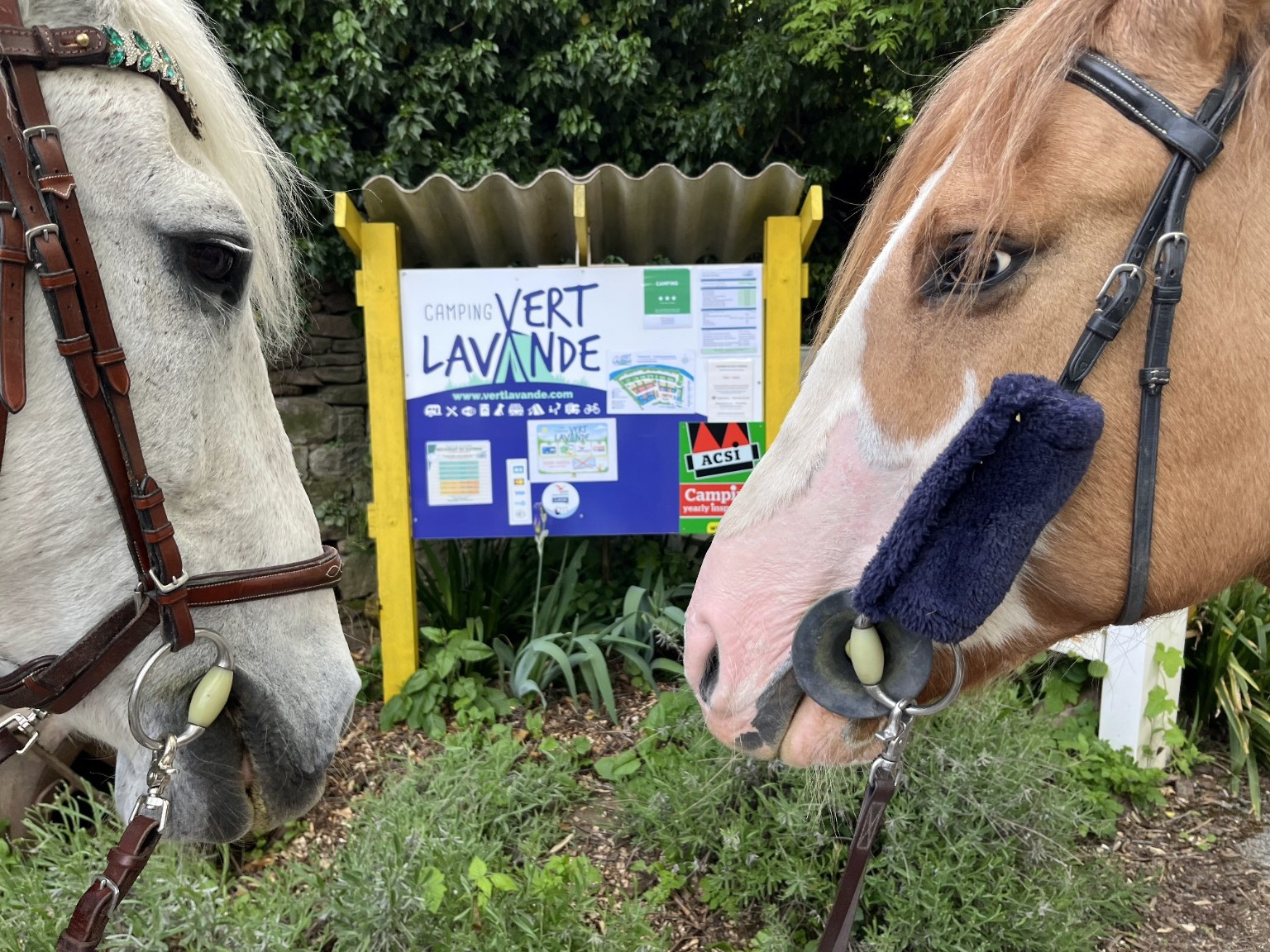 Logement GreenGo: Emplacement destinés aux cavaliers avec leurs chevaux