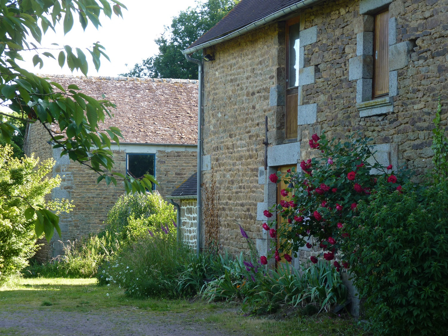 orderedImageAlt_accommodation_default