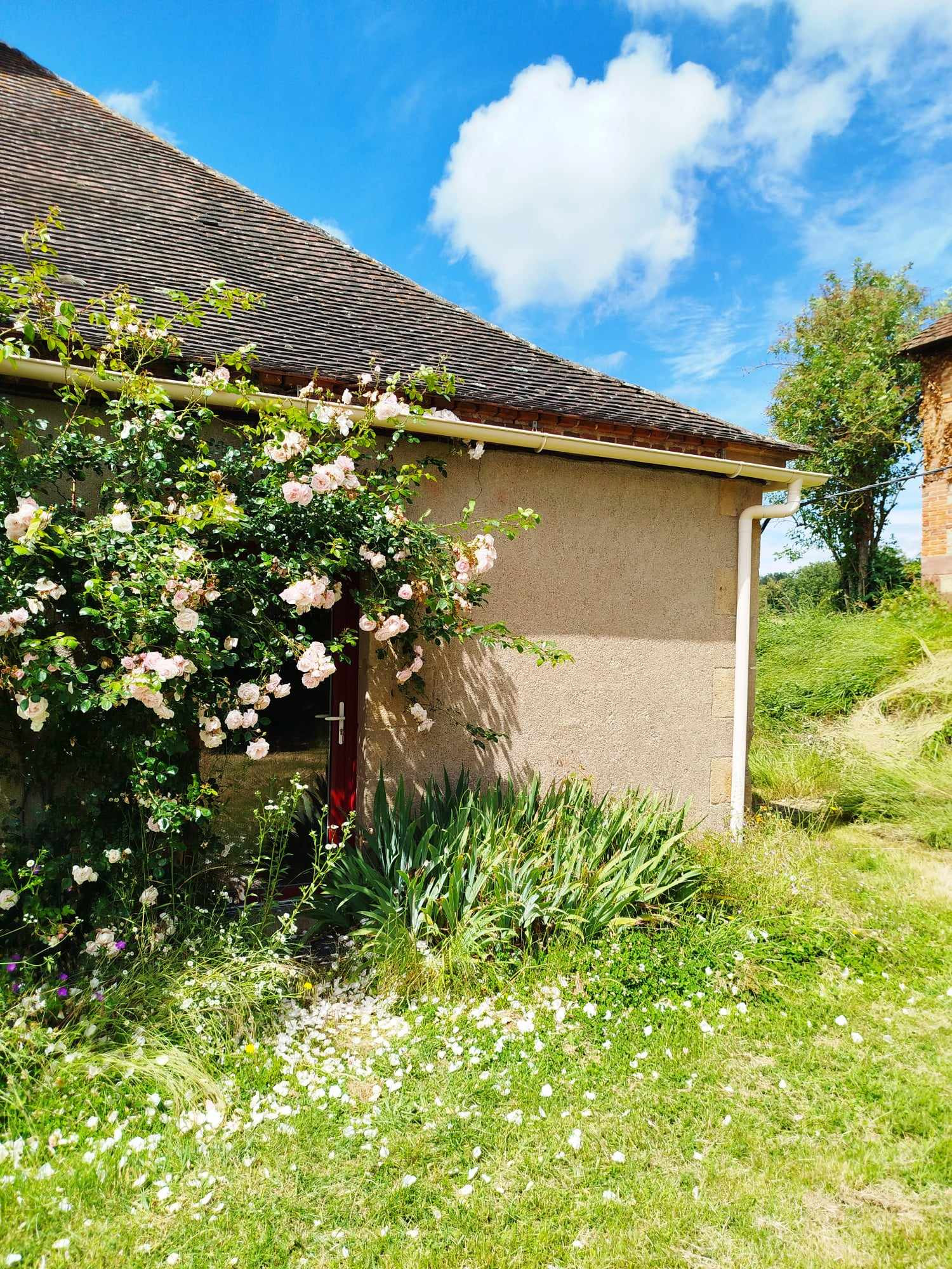 orderedImageAlt_accommodation_default