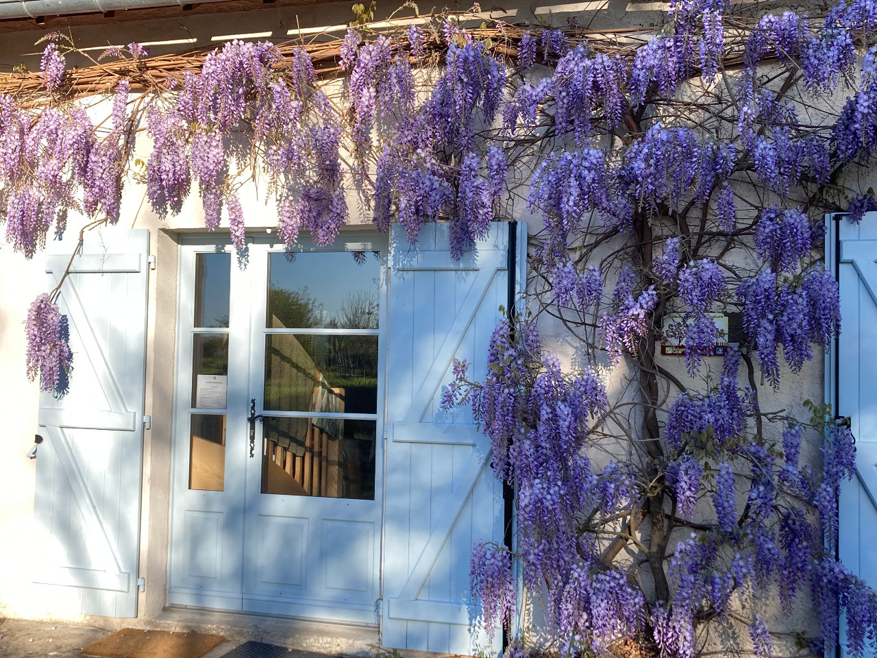 Ecogîte Piquemouche