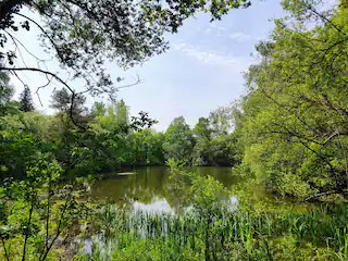 GreenGo location vacances écoresponsables