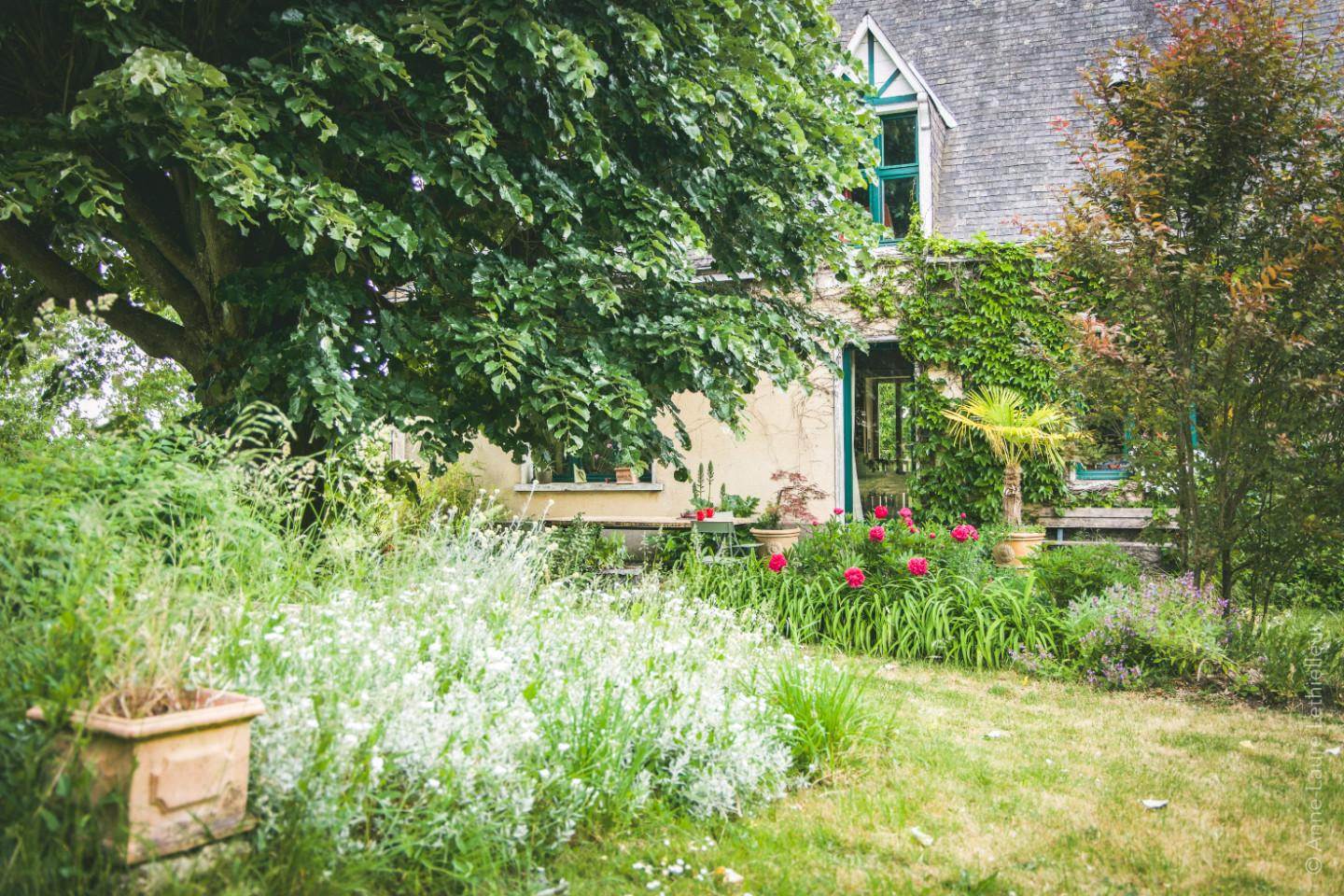 GreenGo location vacances écoresponsables