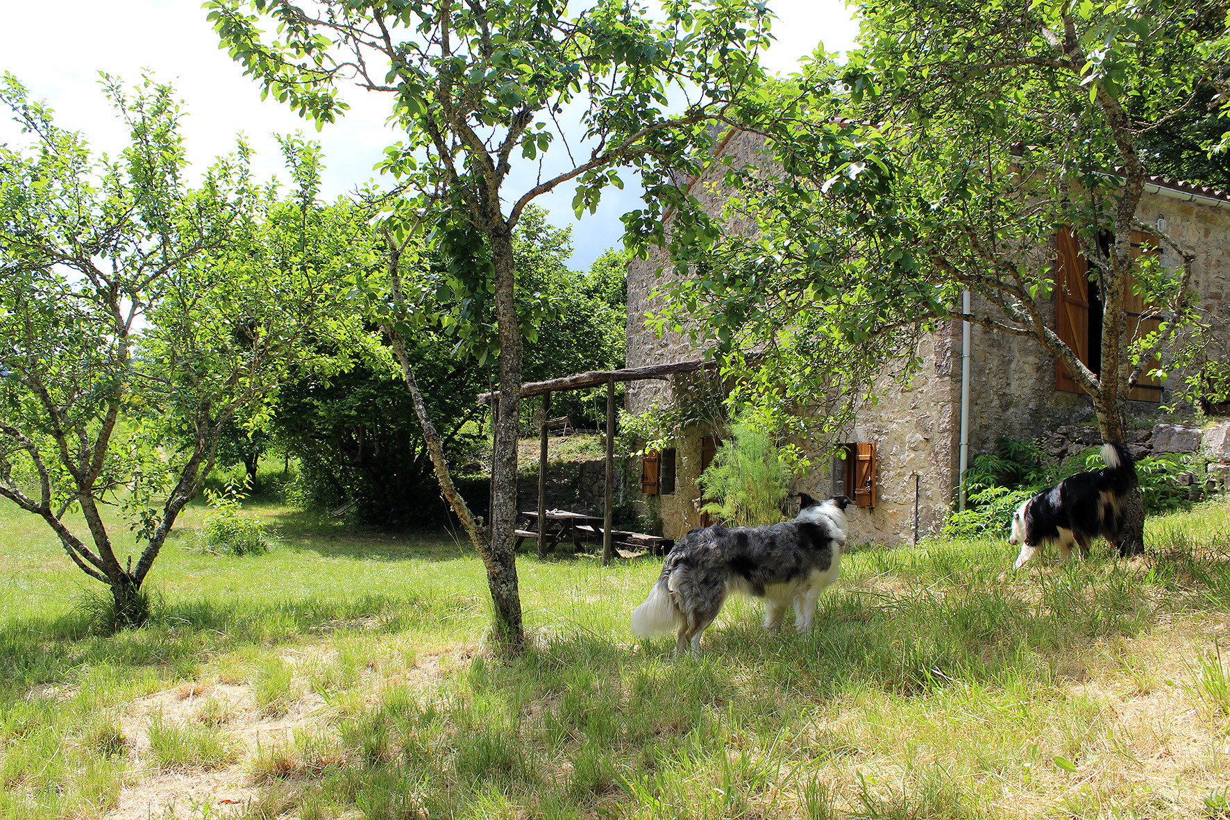 GreenGo location vacances écoresponsables