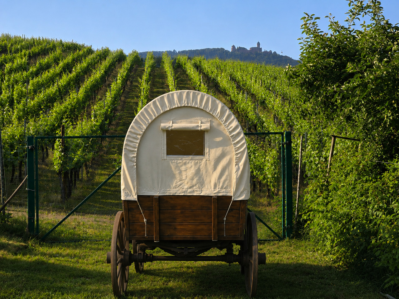 Hôte GreenGo: Hakoe-la charrette du vignoble