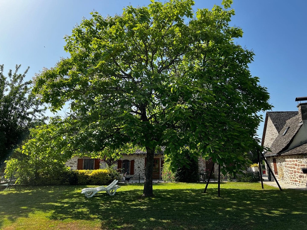 orderedImageAlt_accommodation_default
